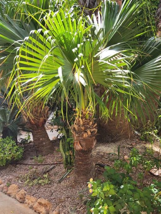 טורבייחה Casa De Flores מראה חיצוני תמונה